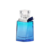 REMY MARQUIS SHALIS FOR MEN EDT 100ML
